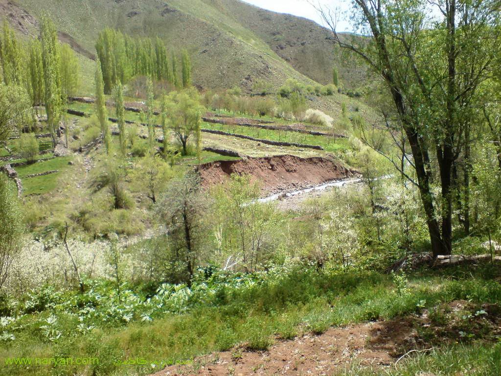 AhmadSharifKazemi1393 (15).jpg